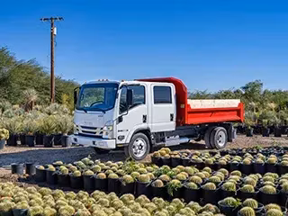 2026 Isuzu NQR Crew Cab (N-Series Class 5 Gas) 200 in Wheelbase†† 20
